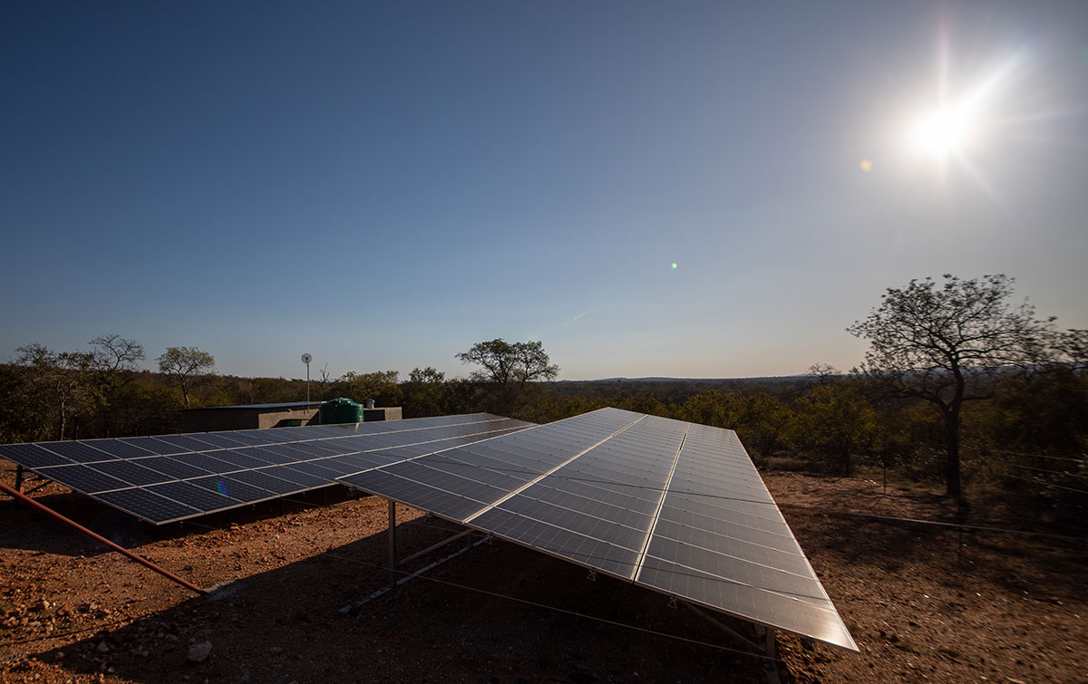 Garonga’s Cutting-Edge Conservation Programs