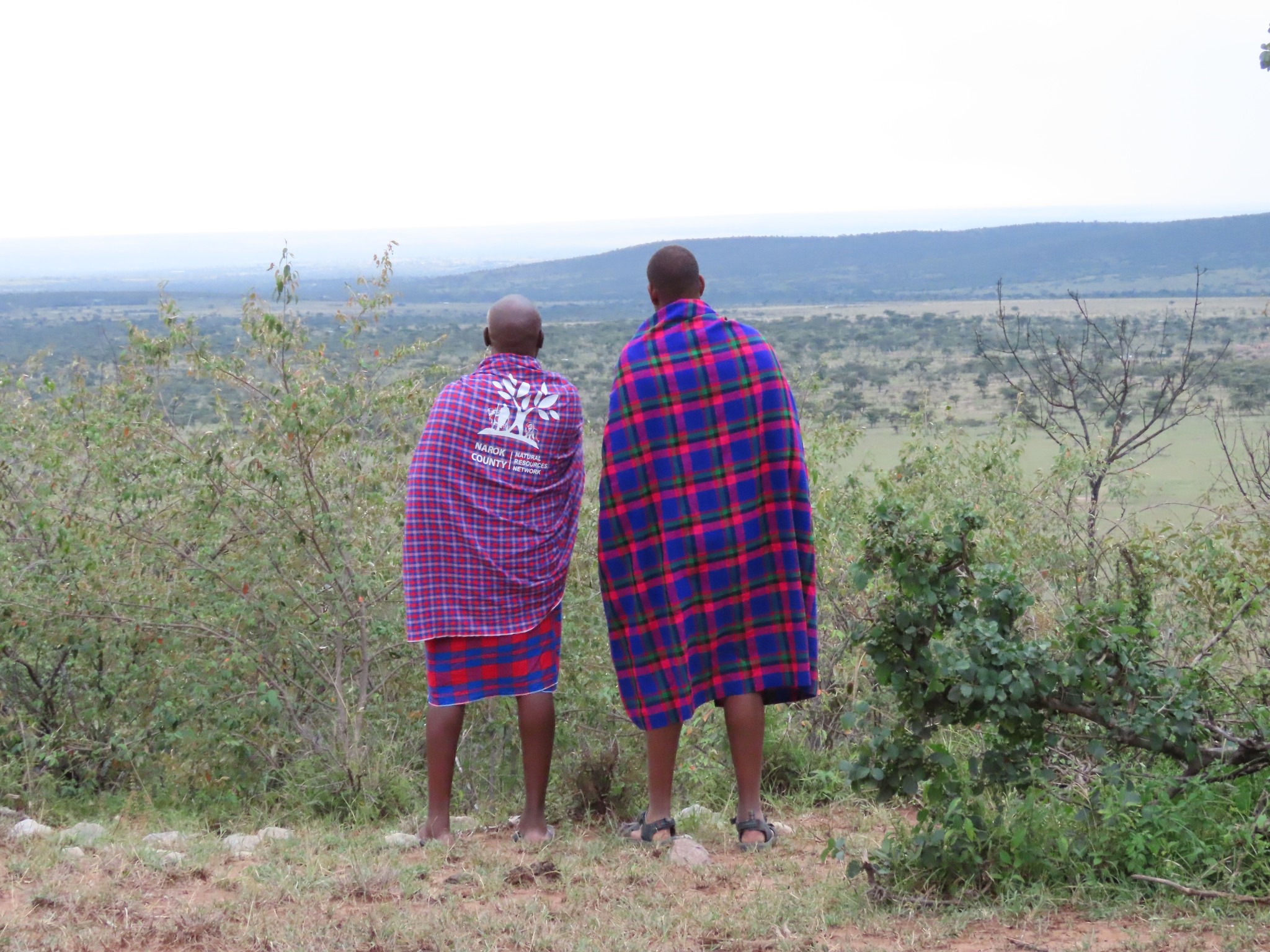 Why Mara Ripoi Excels as an African Safari Destination