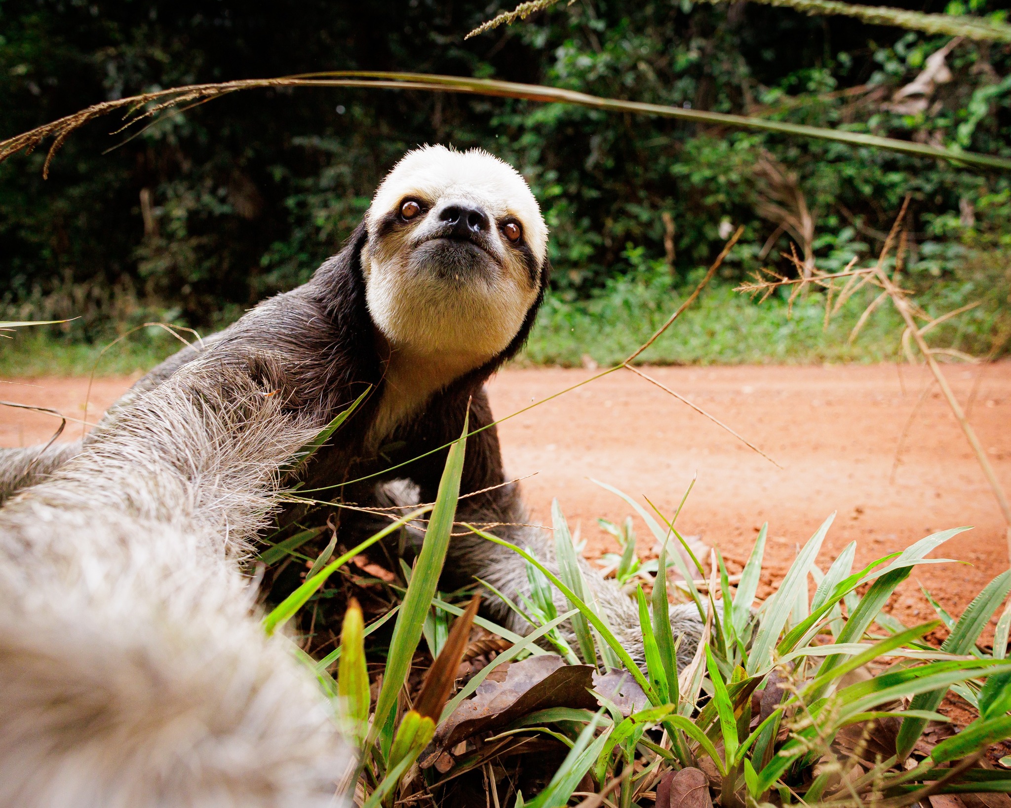 River, Ranch, and Rainforest – Guyana’s Active Adventures