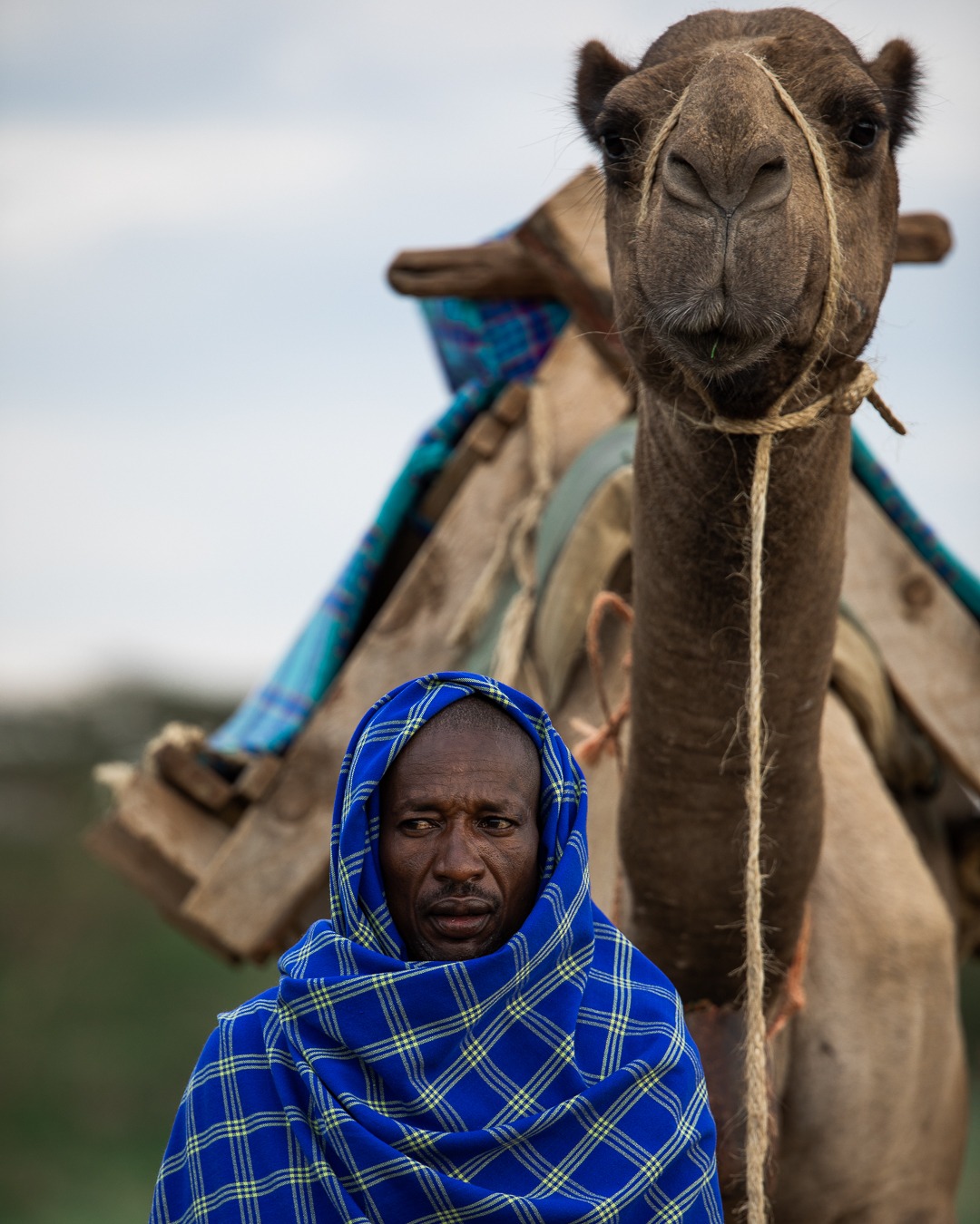 Cocktails or Camels – What’s Your African Safari Style?
