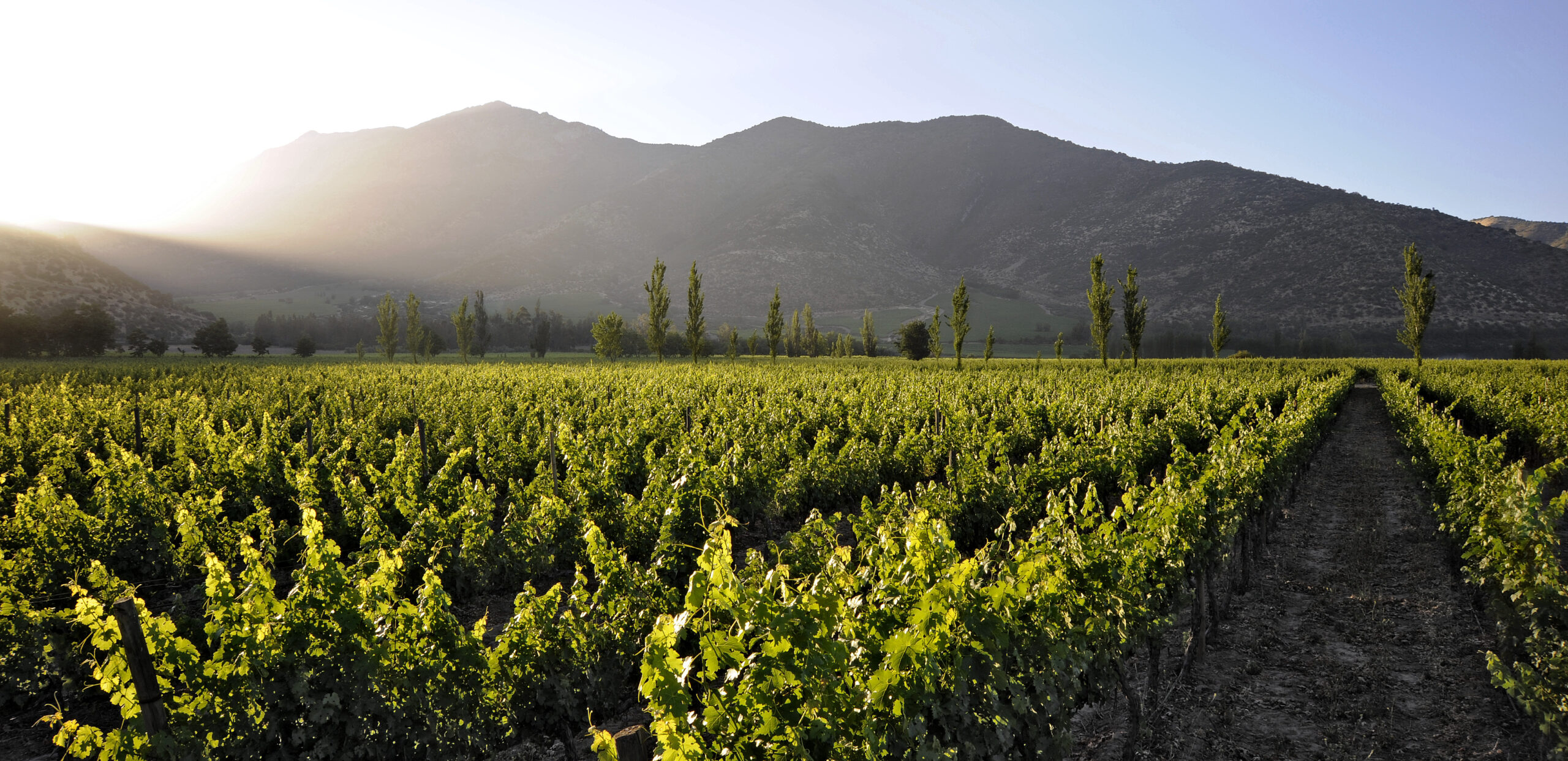 ILS Opens the Door to Argentina and Chile