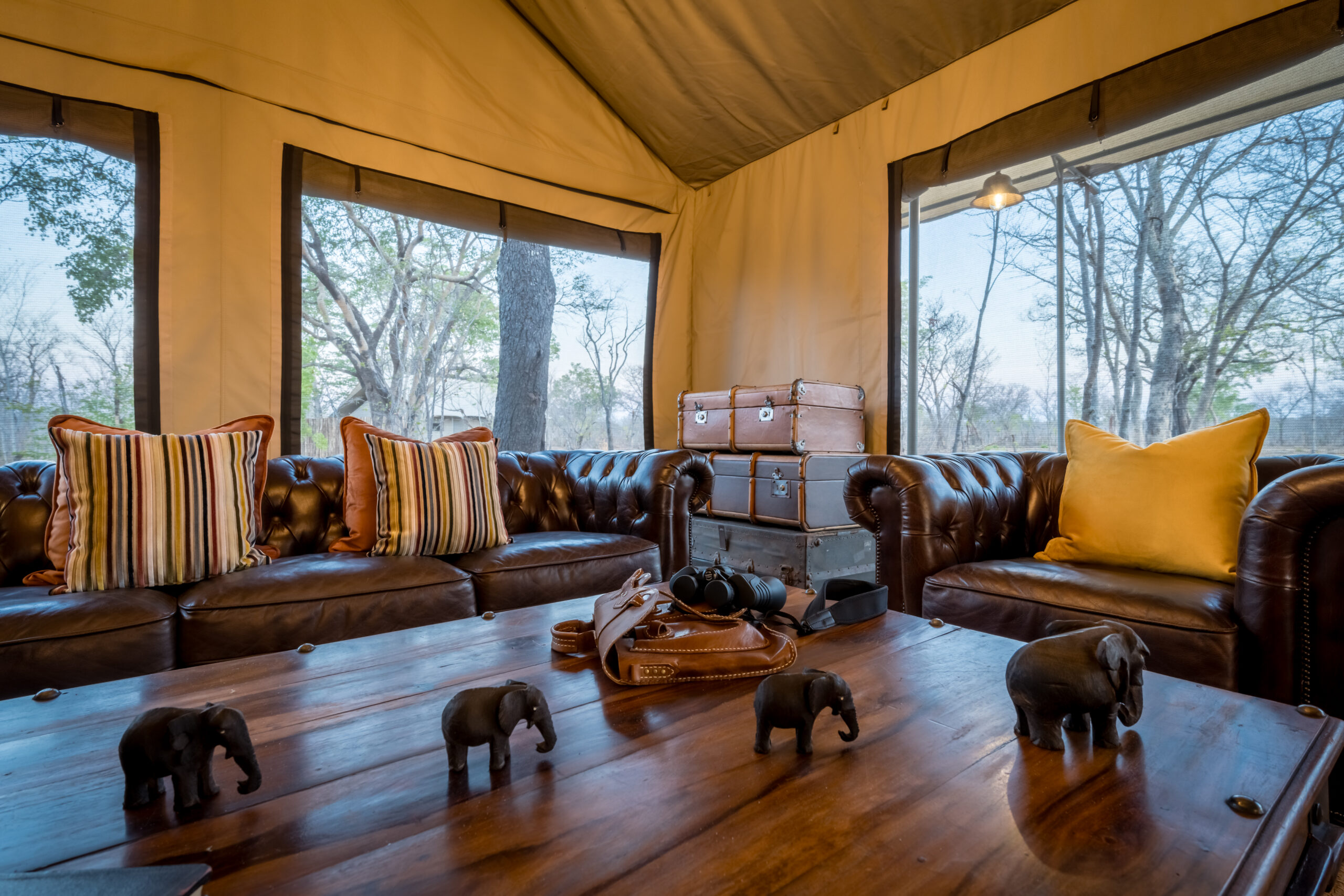 Zimbabwe Does Brilliant Bespoke