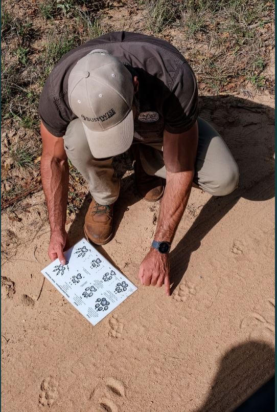 This is Not Another Safari. You’ve Already Done That.