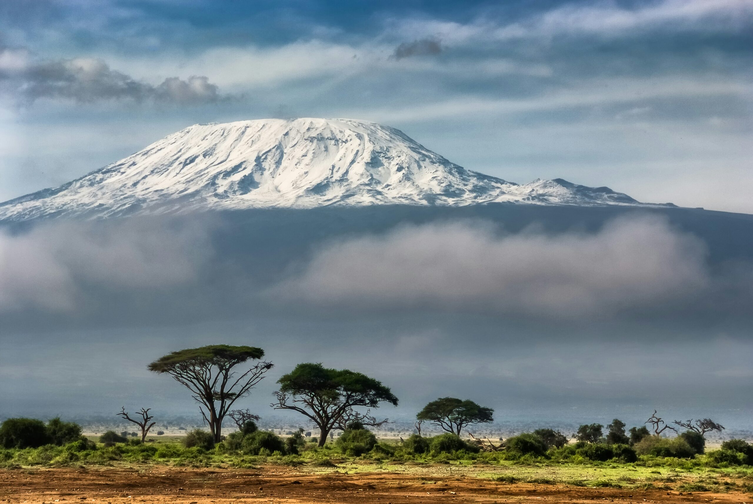 Nobody Beats These Views of Kilimanjaro
