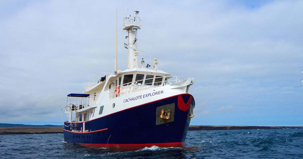 Yacht Spotlight: The Cachalote Explorer