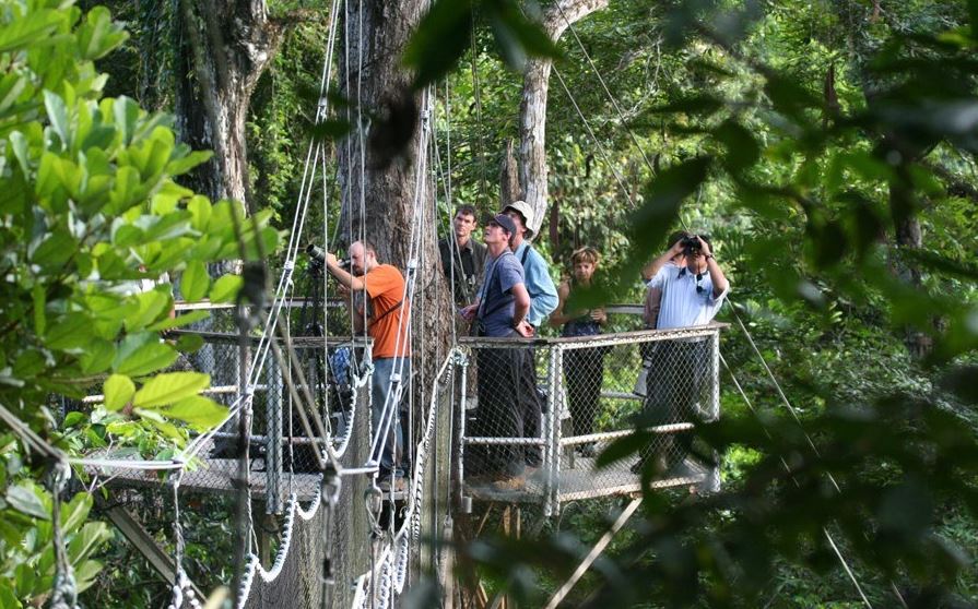 Iwokrama Canopy Walkway Trail