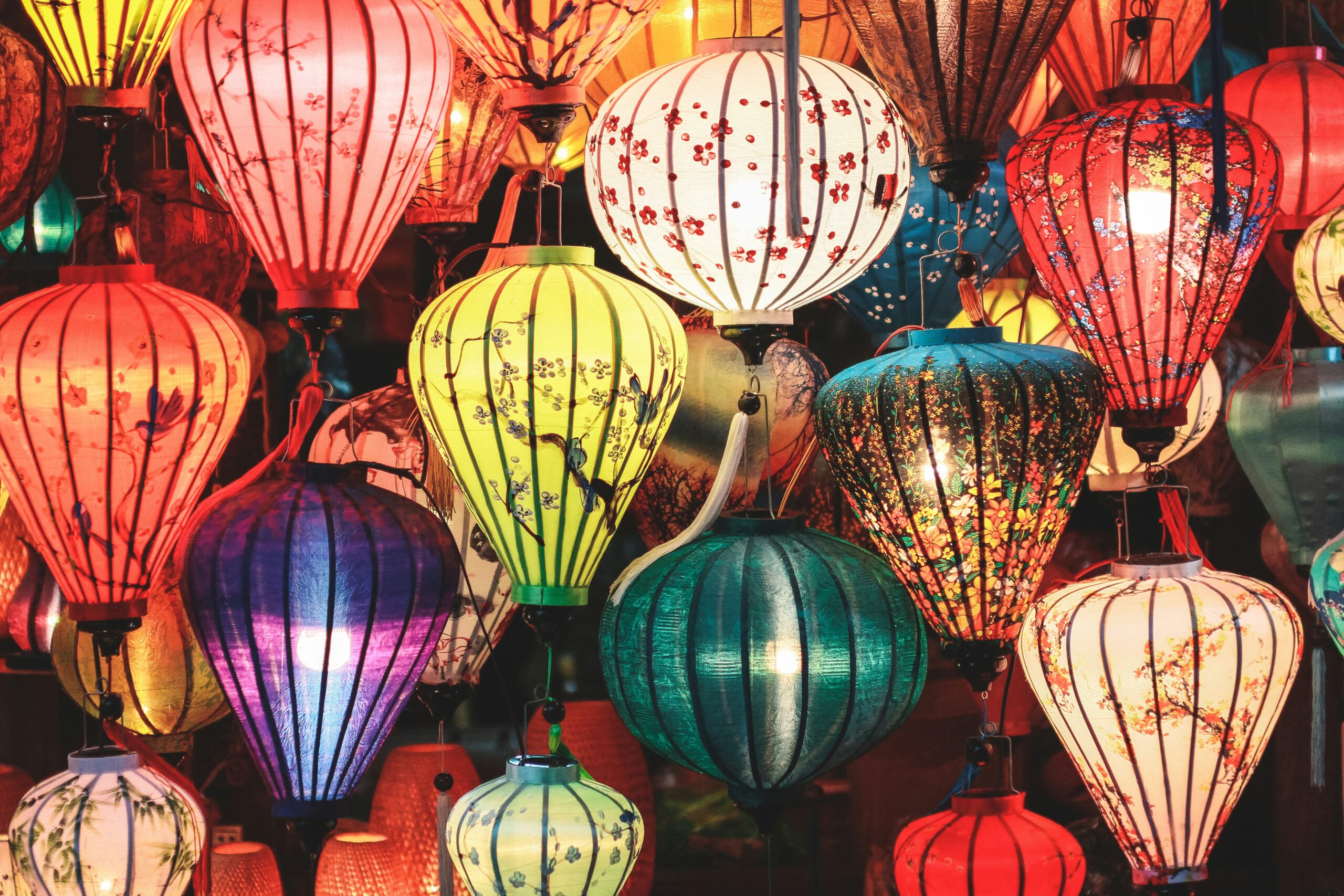 Discover the Diverse Wonders of Vietnam With Vio