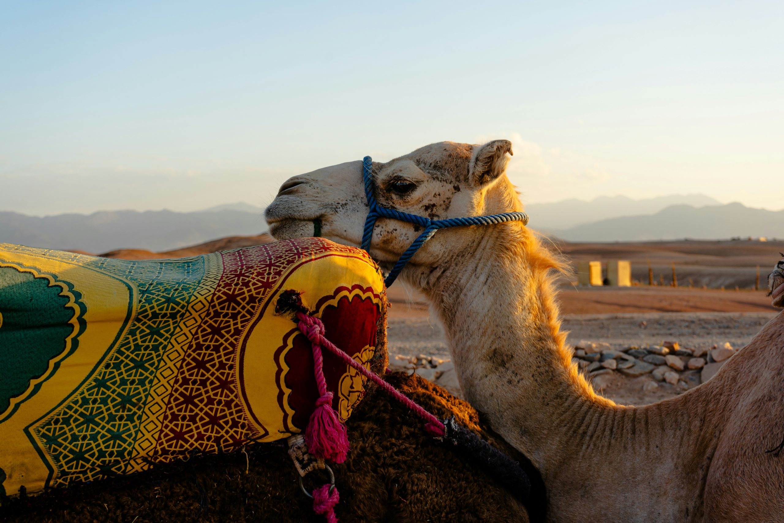Hopping Across the Med to Morocco