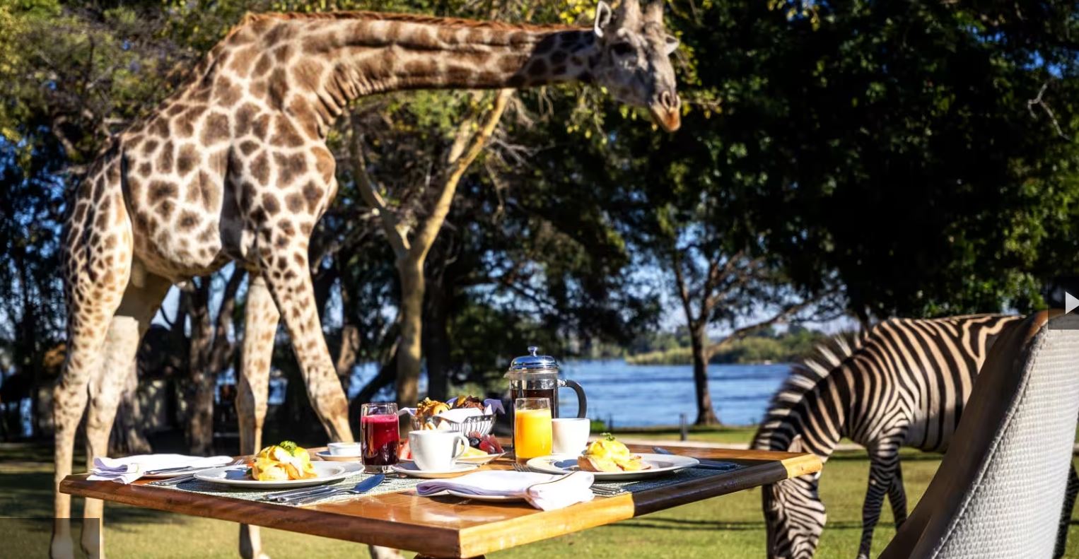 Royal Livingstone Luxury at Vic Falls